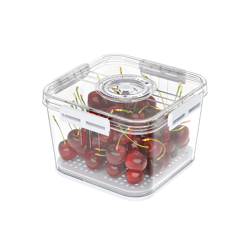 Medium Vacuum Fridge Food Storage Box